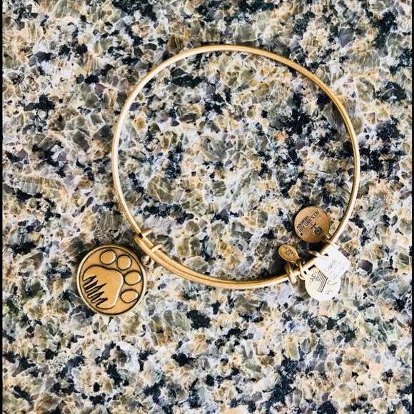 Alex and Ani Jewelry - Alex and Ani Bear Paw Bracelet